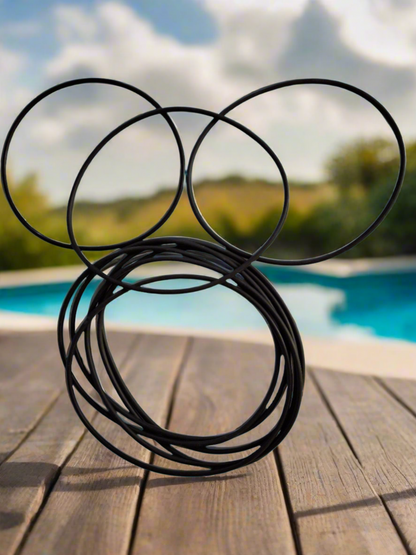 O Ring for Davey Spa Quip Compact Filter Tank Lid